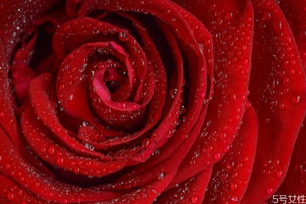 網(wǎng)上相親成功的多嗎 相親成功技巧 網(wǎng)上相親成功的多嗎 相親成功技巧