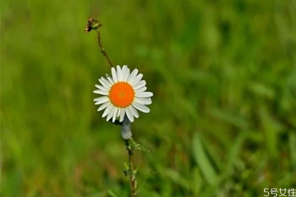 二婚女人相親應(yīng)該問些什么 離異男女相親正確發(fā)展步驟 二婚女人相親應(yīng)該問些什么 離異男女相親正確發(fā)展步驟