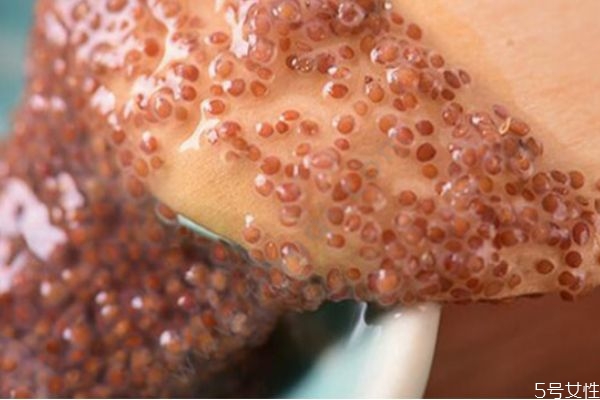 顆粒海藻面膜會不會過期 過期的海藻面膜有什么妙用 顆粒海藻面膜會不會過期 過期的海藻面膜有什么妙用