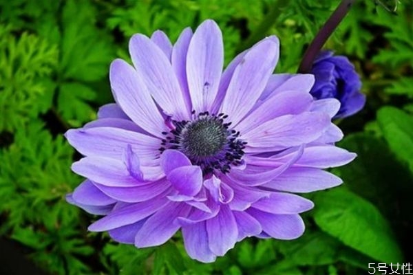 精神出軌可以被原諒嗎 精神和肉體出軌哪個(gè)不能原諒 精神出軌可以被原諒嗎 精神和肉體出軌哪個(gè)不能原諒