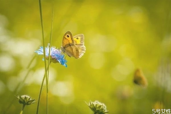 連架都懶得吵的婚姻怎么挽回 無(wú)話可說(shuō)的婚姻怎么辦