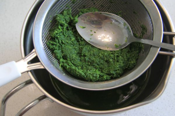 艾葉水洗頭的作用 艾葉水洗頭的功效 艾葉水洗頭的作用 艾葉水洗頭的功效