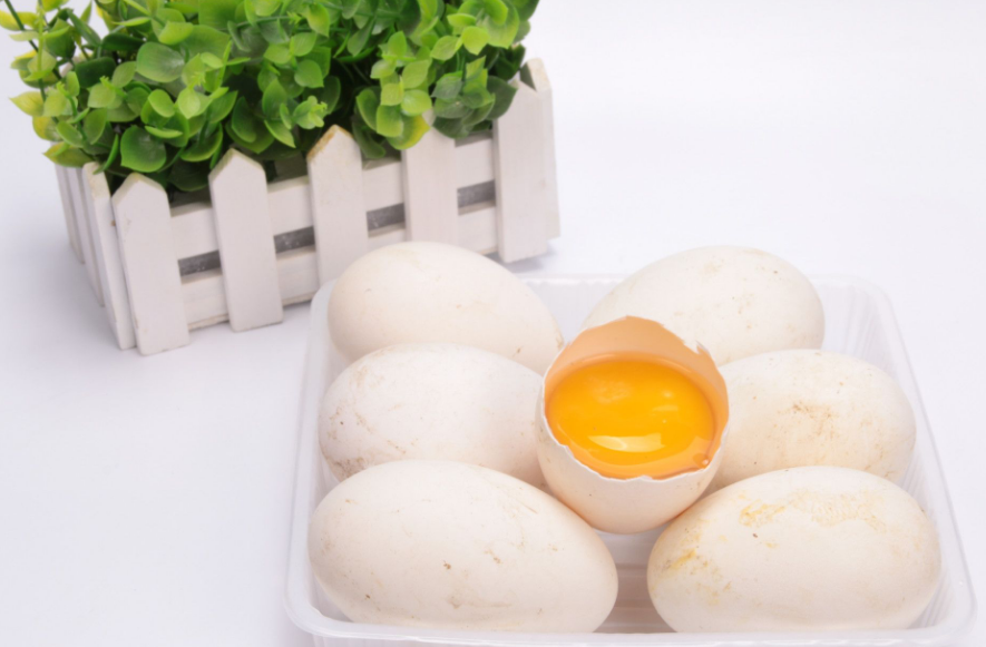只吃鵝蛋清有營(yíng)養(yǎng)嗎 鵝蛋清好還是黃好 只吃鵝蛋清有營(yíng)養(yǎng)嗎 鵝蛋清好還是黃好