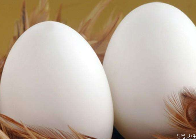 鵝蛋太腥吃不下怎么辦 水煮鵝蛋會腥嗎 鵝蛋太腥吃不下怎么辦 水煮鵝蛋會腥嗎
