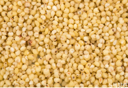 高粱米和大米哪個熱量高 高粱米食用注意事項 高粱米和大米哪個熱量高 高粱米食用注意事項