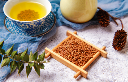 苦蕎茶飯前喝好還是飯后喝好 苦蕎茶放了3年還能喝嗎 苦蕎茶飯前喝好還是飯后喝好 苦蕎茶放了3年還能喝嗎