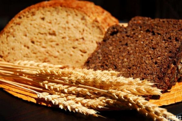 吃全麥面包會長胖嗎 全麥面包纖維高還是黑麥面包 吃全麥面包會長胖嗎 全麥面包纖維高還是黑麥面包