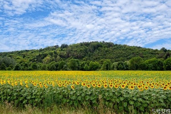 一個(gè)男人反感你的表現(xiàn) 一個(gè)男人吼你說(shuō)明什么