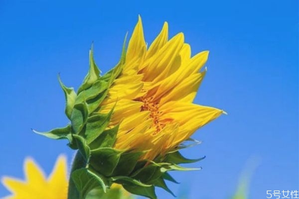 一個(gè)男人反感你的表現(xiàn) 一個(gè)男人吼你說(shuō)明什么