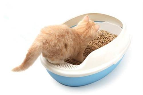 劣質貓砂對貓的危害 便宜好用的貓砂推薦