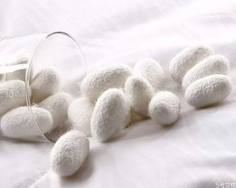 蠶絲被怎么洗 蠶絲被清洗注意事項(xiàng) 蠶絲被怎么洗 蠶絲被清洗注意事項(xiàng)