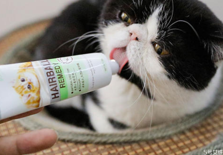 貓營養(yǎng)膏多久喂一次 貓營養(yǎng)膏吃多了會怎樣 貓營養(yǎng)膏多久喂一次 貓營養(yǎng)膏吃多了會怎樣