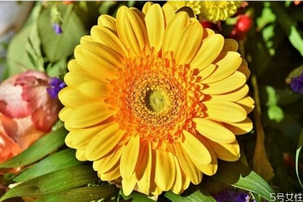 怎樣挽回出軌的丈夫 覺得老公有外遇了怎么辦 怎樣挽回出軌的丈夫 覺得老公有外遇了怎么辦