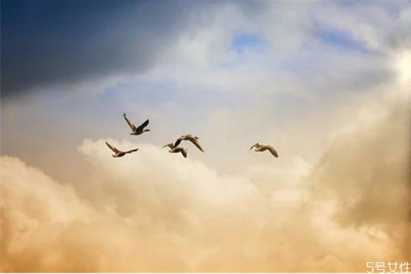 第一次約會遲到她讓我等半個小時 第一次約會遲到的女生 第一次約會遲到她讓我等半個小時 第一次約會遲到的女生