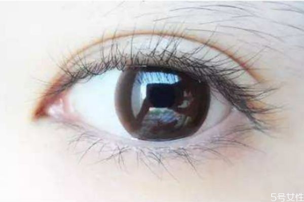 美瞳掉地上還能用嗎 美瞳需要每天換護(hù)理液?jiǎn)? alt=