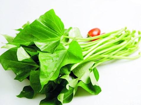 紅薯葉養(yǎng)胃嗎 紅薯葉怎么吃有營養(yǎng) 紅薯葉養(yǎng)胃嗎 紅薯葉怎么吃有營養(yǎng)