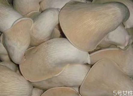 白靈菇怎么做好吃 白靈菇孕婦可以吃嗎 白靈菇怎么做好吃 白靈菇孕婦可以吃嗎