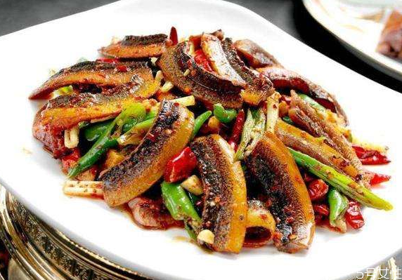 黃鱔在家里清水能養(yǎng)嗎 黃鱔在魚(yú)缸能長(zhǎng)期養(yǎng)嗎