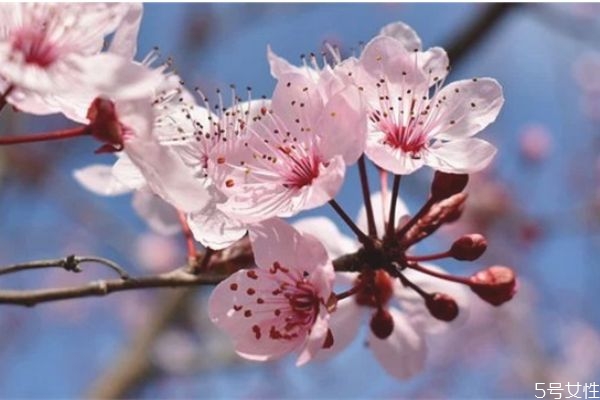 女人死心了怎么樣挽回她 女人死心的表現(xiàn) 女人死心了怎么樣挽回她 女人死心的表現(xiàn)