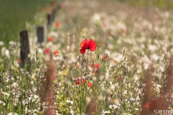 女人死心了還會(huì)回頭嗎 女人死心分手需要冷靜多久