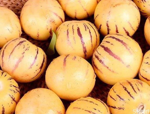 為什么說人參果很毒 吃人參果的禁忌 為什么說人參果很毒 吃人參果的禁忌