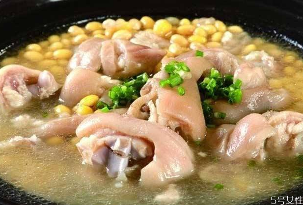 豬腳燉什么好吃 豬腳和什么燉最有營(yíng)養(yǎng)