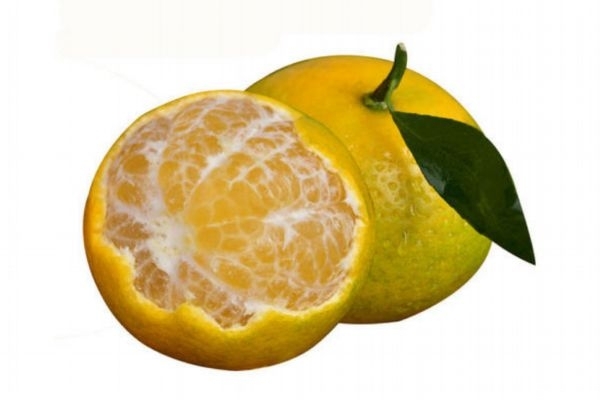 皇帝柑美白嗎 皇帝柑糖分高嗎 皇帝柑美白嗎 皇帝柑糖分高嗎