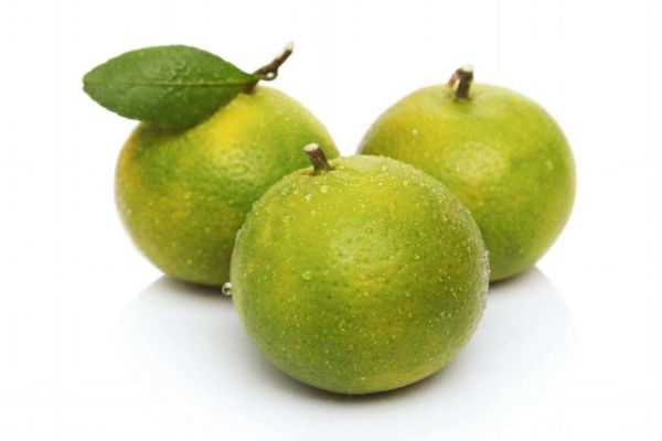 ?皇帝柑和冰糖橘的區(qū)別 皇帝柑為什么叫皇帝柑 ?皇帝柑和冰糖橘的區(qū)別 皇帝柑為什么叫皇帝柑