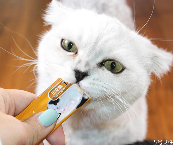 各個(gè)階段如何養(yǎng)貓 貓咪科學(xué)喂養(yǎng)時(shí)間表 各個(gè)階段如何養(yǎng)貓 貓咪科學(xué)喂養(yǎng)時(shí)間表