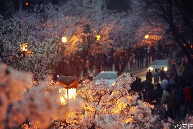 元旦可以去哪里跨年 2021年去哪里跨年最好玩 元旦可以去哪里跨年 2021年去哪里跨年最好玩