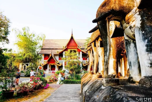 元旦可以去哪里跨年 2021年去哪里跨年最好玩 元旦可以去哪里跨年 2021年去哪里跨年最好玩