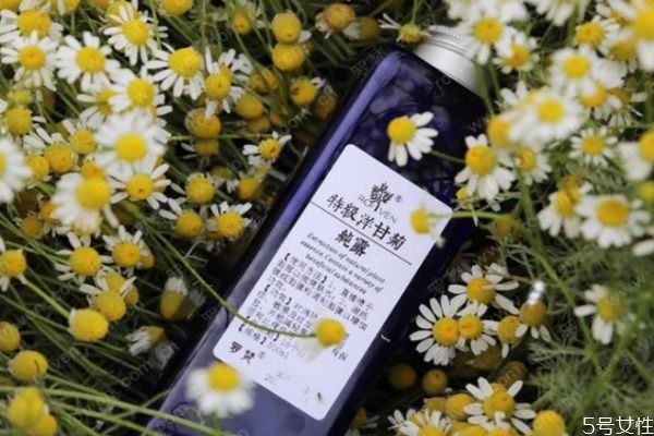 洋甘菊純露對(duì)痘痘有好處嗎 洋甘菊純露有消炎的作用嗎