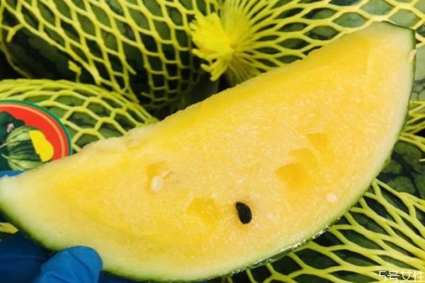特小鳳西瓜適合哪些人吃 ?哪些人不能吃西瓜 特小鳳西瓜適合哪些人吃 ?哪些人不能吃西瓜