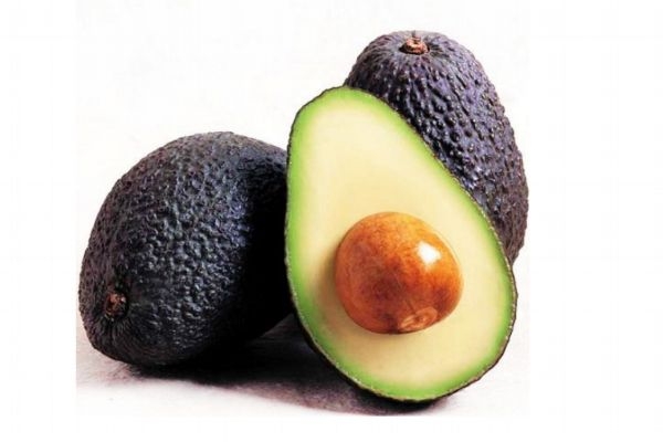 寶寶天天吃牛油果好嗎 寶寶能吃牛油果嗎 寶寶天天吃牛油果好嗎 寶寶能吃牛油果嗎