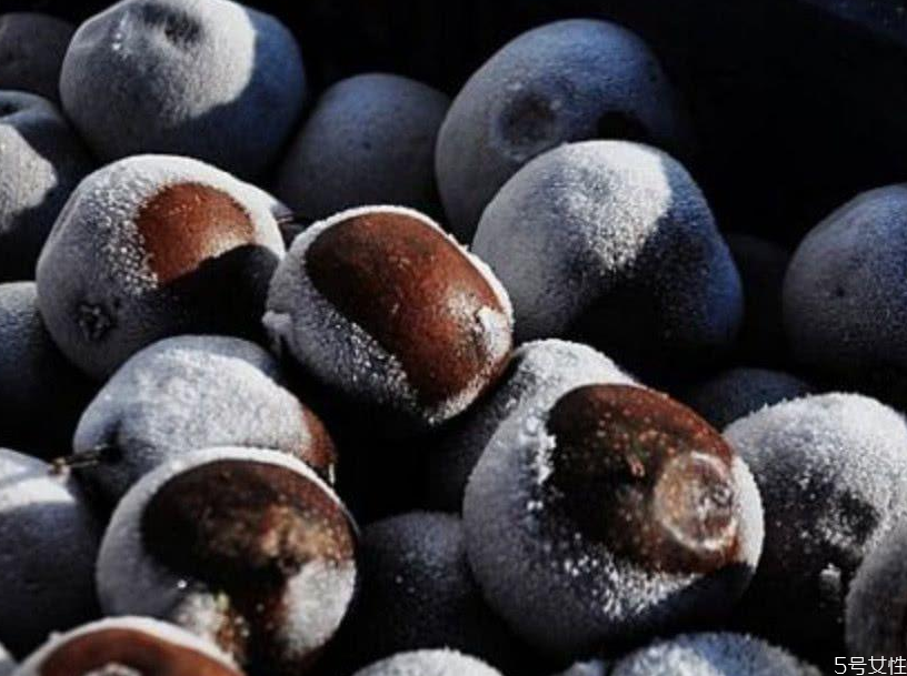 凍梨可以放多久 買的凍梨怎么保存 凍梨可以放多久 買的凍梨怎么保存