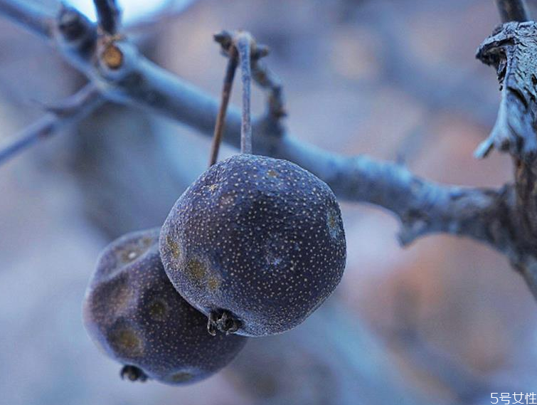 凍梨是什么味道 快遞買的凍梨化掉了能吃嗎 凍梨是什么味道 快遞買的凍梨化掉了能吃嗎