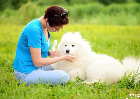 狗狗怎么訓(xùn)練才聽(tīng)話(huà) 訓(xùn)練狗狗離開(kāi)主人不叫