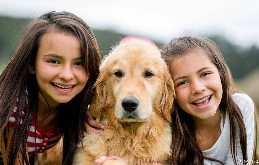 狗狗怎么訓(xùn)練才聽(tīng)話(huà) 訓(xùn)練狗狗離開(kāi)主人不叫