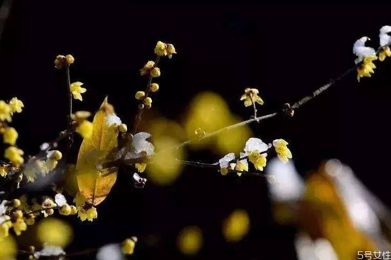 躲春可以開燈嗎 2021年躲太歲的時間和方法 躲春可以開燈嗎 2021年躲太歲的時間和方法