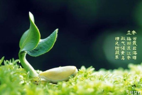 躲春時間和方法 躲春的原因 躲春時間和方法 躲春的原因