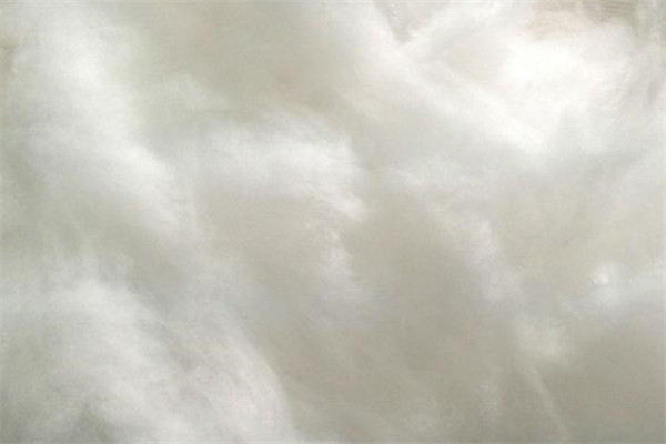 棉服和羽絨服哪個(gè)比較好?棉服和羽絨服優(yōu)缺點(diǎn)對(duì)比 棉服和羽絨服哪個(gè)比較好?棉服和羽絨服優(yōu)缺點(diǎn)對(duì)比