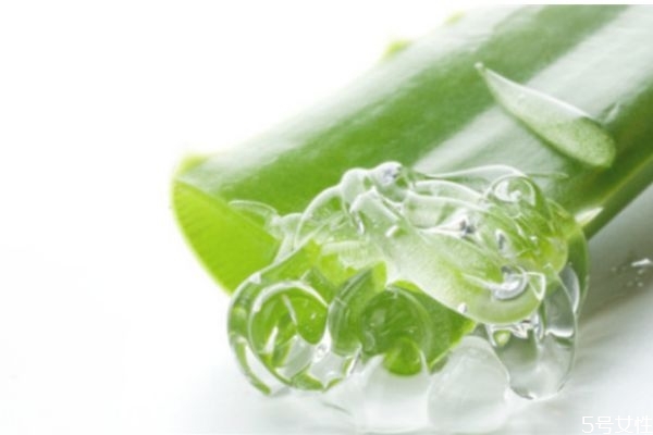 希蕓蘆薈膠的作用和功效 希蕓蘆薈膠正確用法 希蕓蘆薈膠的作用和功效 希蕓蘆薈膠正確用法