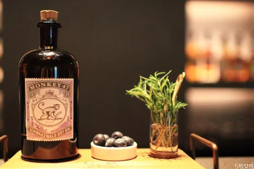 琴酒是什么類(lèi)型的酒 琴酒怎么喝