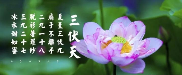 三伏天是什么？三伏天應(yīng)注意什么？