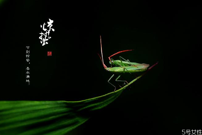 驚蟄如何養(yǎng)生 驚蟄養(yǎng)生重點是什么