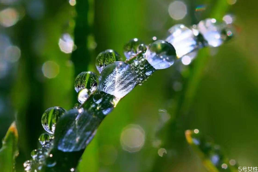 驚蟄時(shí)節(jié)吃什么 驚蟄節(jié)氣吃什么食物 驚蟄時(shí)節(jié)吃什么 驚蟄節(jié)氣吃什么食物