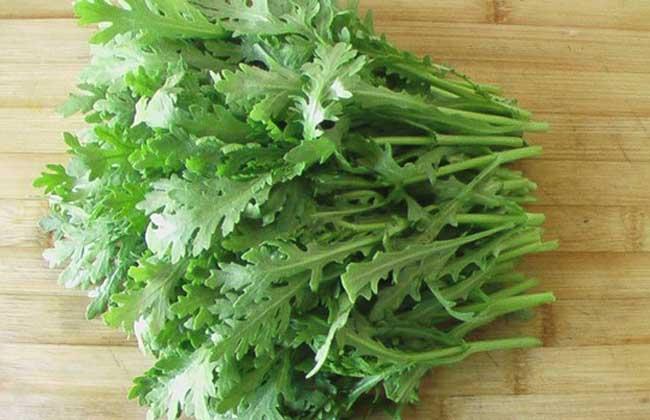 苦菊和茼蒿的區(qū)別 苦菊和茼蒿能一起吃嗎 苦菊和茼蒿的區(qū)別 苦菊和茼蒿能一起吃嗎