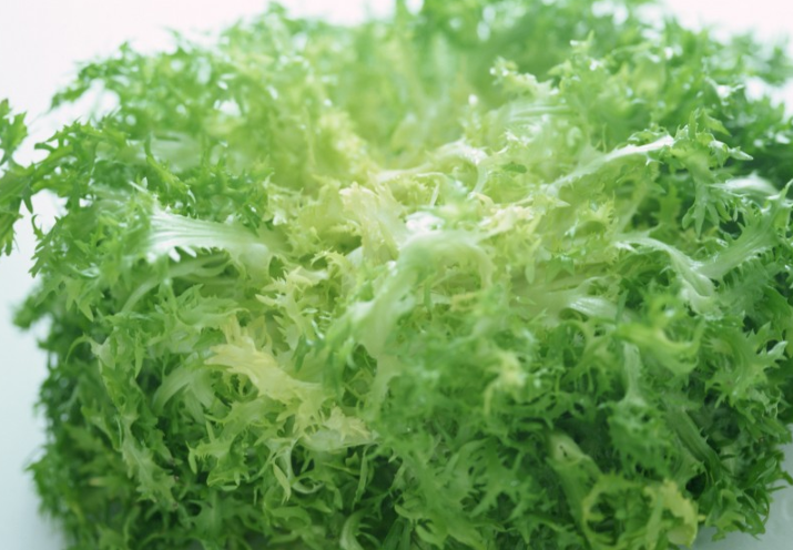 苦菊和茼蒿的區(qū)別 苦菊和茼蒿能一起吃嗎 苦菊和茼蒿的區(qū)別 苦菊和茼蒿能一起吃嗎