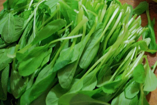 雞毛菜和小青菜有什么區(qū)別 雞毛菜和青菜的區(qū)別 雞毛菜和小青菜有什么區(qū)別 雞毛菜和青菜的區(qū)別