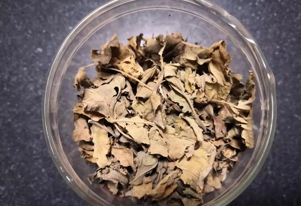 喝桑葉茶能減肥嗎?有什么副作用？